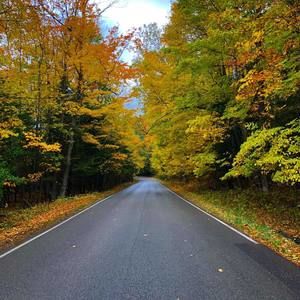 Meet your Posher, Jayden